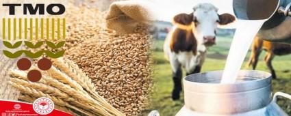 RETEN BOLU\'YA 5 MLYON 500 BN TL DESTEK