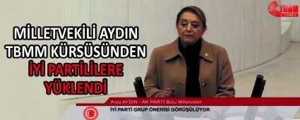 MLLETVEKL AYDIN TBMM KRSSNDEN Y PARTLLERE YKLEND