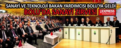 BOLU\'DA SANAY ZRVES