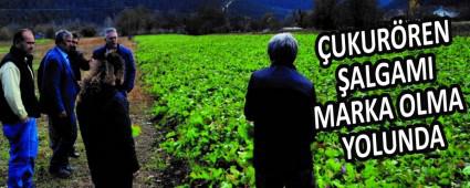 UKURREN ALGAMI MARKA OLMA YOLUNDA