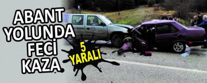ABANT YOLUNDA FEC KAZA