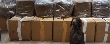 JANDARMADAN KAAK TTN OPERASYONU