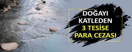 DOAYI KATLEDEN 3 TESSE PARA CEZASI