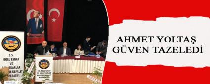 AHMET YOLTA GVEN TAZELED