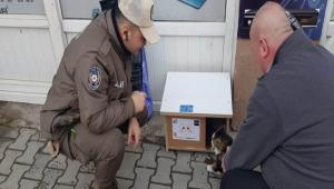 HAYD EKPLER SOKAK HAYVANLARINI UNUTMADI