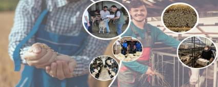 UZMAN ELLERE BAVURULAR BALADI