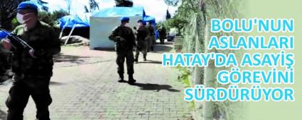 BOLU\'NUN ASLANLARI  HATAY\'DA ASAY GREVN SRDRYOR