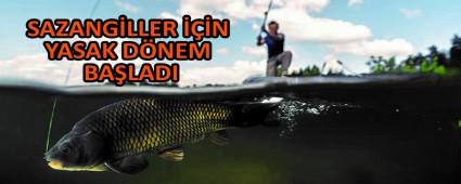 SAZANGLLER N YASAK DNEM BALADI