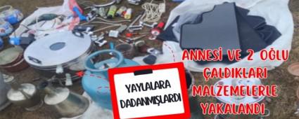 YAYLALARA HIRSIZLARI YAKALANDI