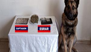 APKADAN UYUTURUCU IKTI