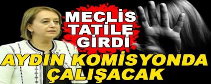 MECLS TATLE GRD, AYDIN KOMSYONDA ALIACAK