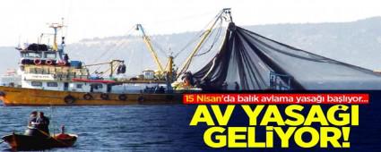 AV YASAI BALIYOR