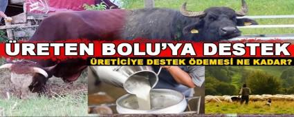 RETEN BOLU\'YA DESTEK