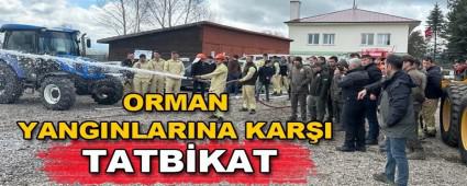 Drtdivan\'da olas orman yangnlarna kar eitim tatbikat dzenlendi