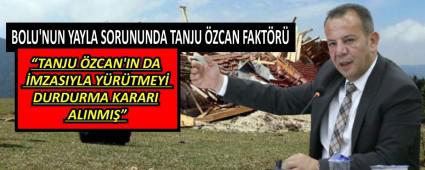 BOLU\'NUN YAYLA SORUNUNDA  TANJU ZCAN FAKTR