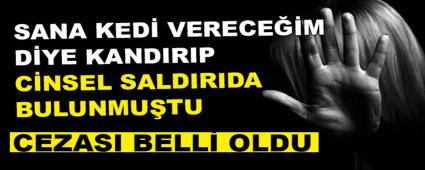 CNSEL SALDIRI TEEBBS\'NN CEZASI BELL OLDU