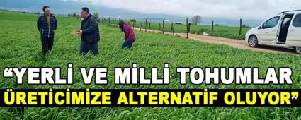 YERL VE MLL TOHUMLAR RETCMZE ALTERNATF OLUYOR