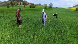 SNE LE MCADELE KONTROLLER DEVAM EDYOR