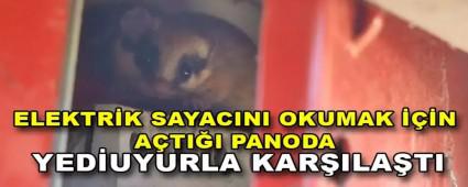 ELEKTRK SAYACINI OKUMAK N ATII PANODA YEDUYURLA KARILATI