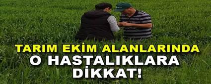 ​TARIM EKM ALANLARINDA O HASTALIKLARA DKKAT!