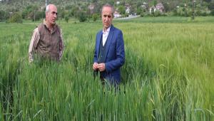 l Mdr zzet Murat Sahada ncelemelerine Devam Ediyor