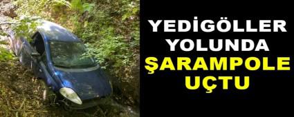 YEDGLLER YOLUNDA ARAMPOLE UTU
