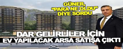 313 MLYON LRA PARAYA NE OLDU