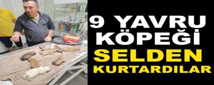 9 YAVRU KPE SELDEN KURTARDILAR