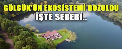 GLCK\'N EKOSSTEM BOZULDU TE SEBEB..