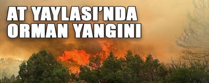 AT YAYLASI\'NDA ORMAN YANGINI