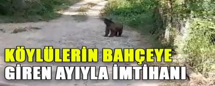 KYLLERN BAHEYE GREN AYIYLA MTHANI