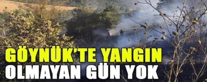 GYNK\'TE YANGIN OLMAYAN GN YOK