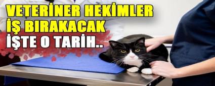 VETERNER HEKMLER  BIRAKACAK TE O TARH..
