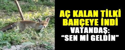 A KALAN TLK, BAHEYE ND