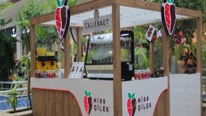 MSS LEK HIGHWAY\'DE!