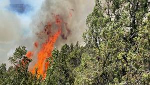 GYNK ALEV ALEV YANIYOR