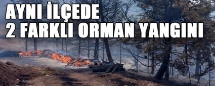 AYNI LEDE 2 FARKLI ORMAN YANGINI