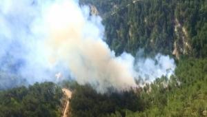 REKOR KIRAN SICAKLIKLAR  BTMEYEN ORMAN YANGINLARI