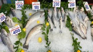 BOLU\'DA BALIK TEZGAHLARI HAREKETLEND