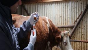 SONBAHAR AP AILAMALARI TM HIZIYLA DEVAM EDYOR