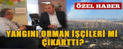 YANGINI ORMAN LER M IKARTTI?