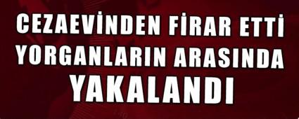 CEZAEVNDEN FRAR ETT  YORGANLARIN ARASINDA YAKALANDI