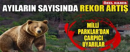 Aylarn saysnda rekor art