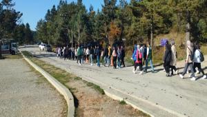 Bolu\'da bamllk kartlar kilometrelerce yrd