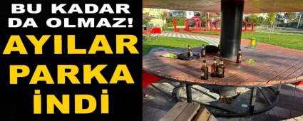 Aylar parklara indi