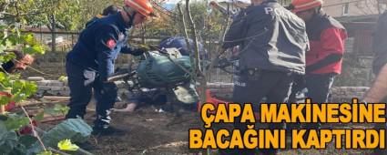 APA MAKNESNE BACAINI KAPTIRDI