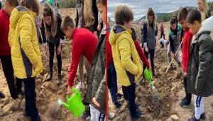 Seben\'de 100. Yl Cumhuriyet Orman kuruldu