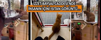 BOLU TRAMVAYINDA BR KED...