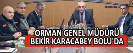 ORMAN GENEL MDR BEKR KARACABEY BOLU\'DA