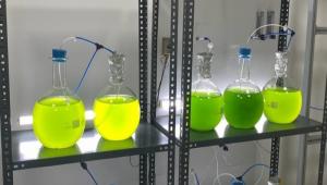 Baib\'den Tbitak Destekli evreci rn